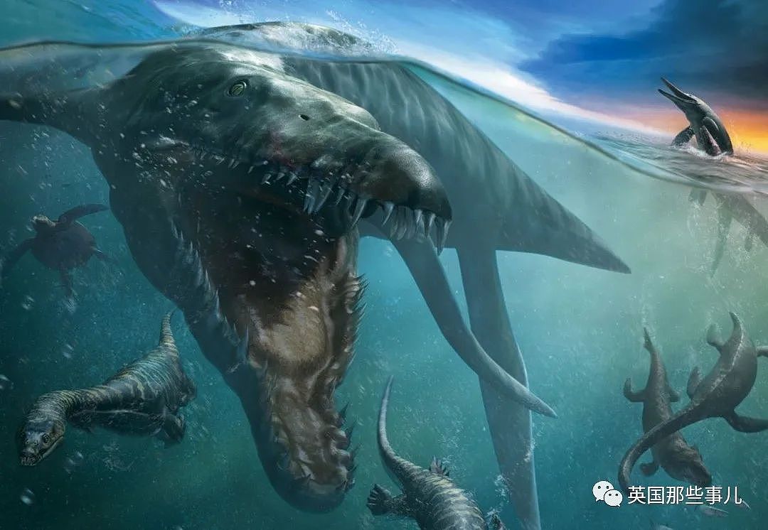 英国挖出了“水下霸王龙“头骨化石？2米大头，3只眼睛，130颗尖牙，太可怕（组图） - 13