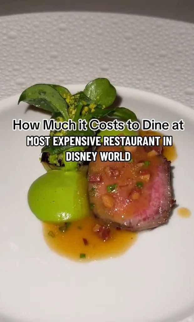 女子花$2500元体验迪士尼最贵餐厅，看了菜单后，网友直呼：“有钱人都疯了”（组图） - 3