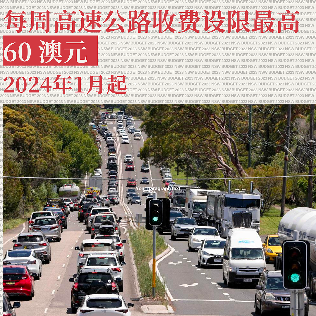 来自Strathfield州议员李逸仙的年终总结2023（组图） - 4