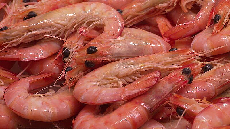 圣诞临近，澳人餐桌迎来好消息：海鲜有望降价！龙虾每只$23，老虎虾跌到$14/kg（组图） - 2