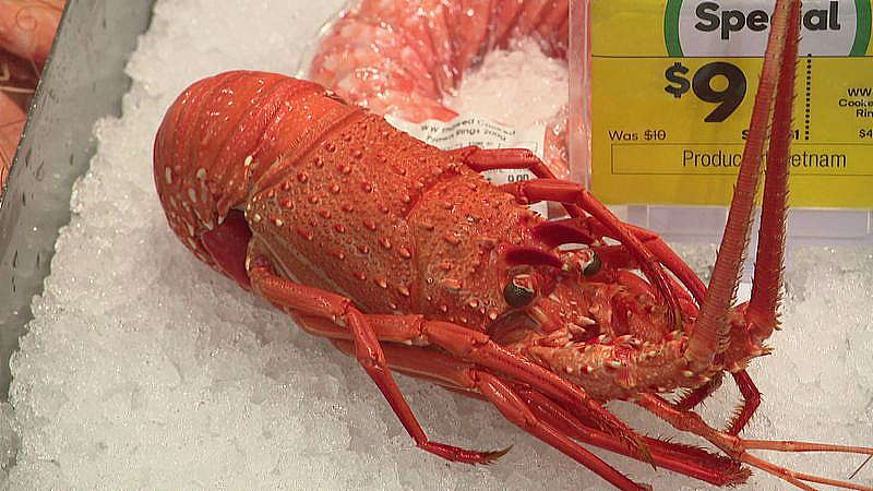 圣诞临近，澳人餐桌迎来好消息：海鲜有望降价！龙虾每只$23，老虎虾跌到$14/kg（组图） - 5