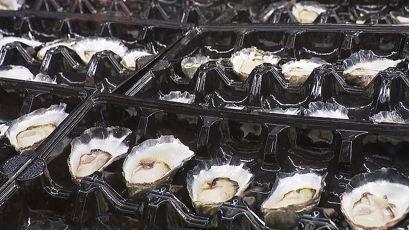 圣诞临近，澳人餐桌迎来好消息：海鲜有望降价！龙虾每只$23，老虎虾跌到$14/kg（组图） - 4