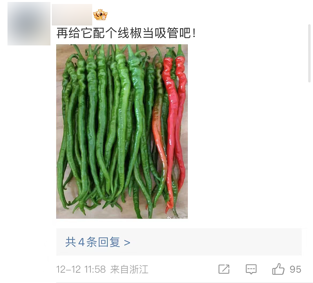 上海一咖啡店推出青椒拿铁，喝完还能拿回家炒个蛋？网友沉默了……（组图） - 5