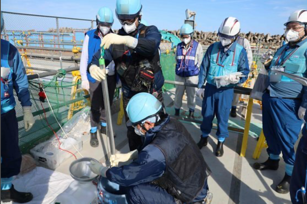 日本又曝千吨“死鱼尸潮”涌向海岸，英媒称与核污水有关，日本人破大防：假新闻（组图） - 33