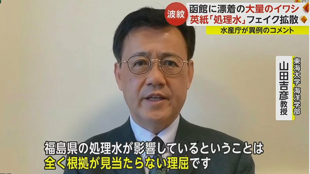 日本又曝千吨“死鱼尸潮”涌向海岸，英媒称与核污水有关，日本人破大防：假新闻（组图） - 22