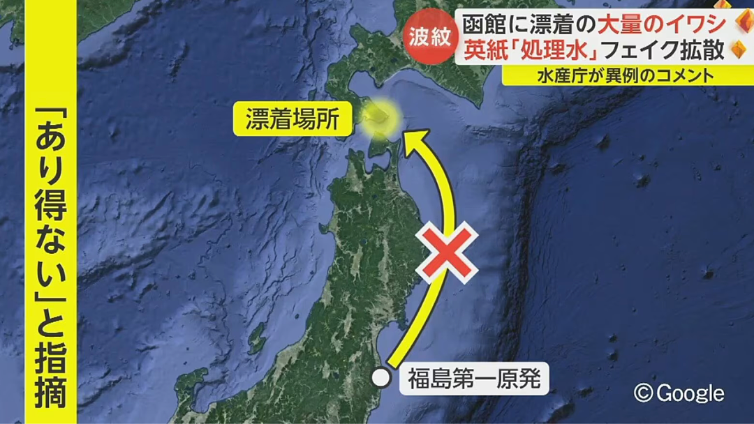 日本又曝千吨“死鱼尸潮”涌向海岸，英媒称与核污水有关，日本人破大防：假新闻（组图） - 23