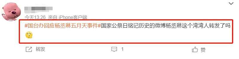 杨丞琳演唱会风波升级！被剧方宣传除名，录制跨年晚会遭抵制（组图） - 24