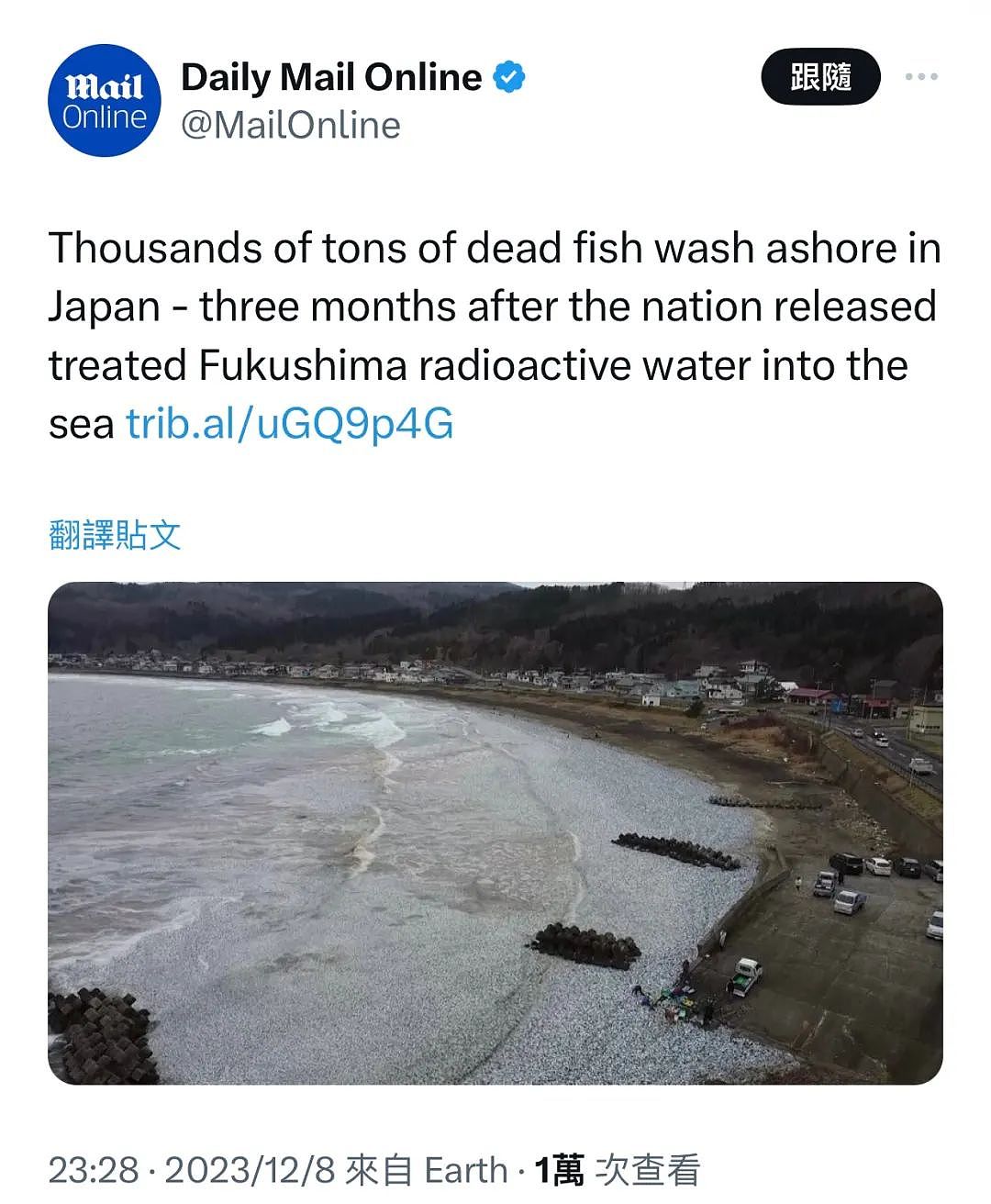日本又曝千吨“死鱼尸潮”涌向海岸，英媒称与核污水有关，日本人破大防：假新闻（组图） - 11