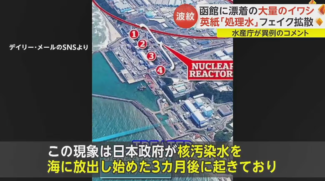 日本又曝千吨“死鱼尸潮”涌向海岸，英媒称与核污水有关，日本人破大防：假新闻（组图） - 34