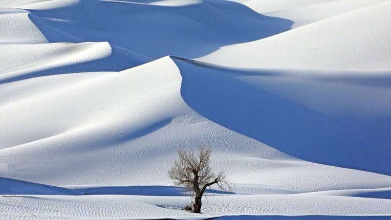沙漠也会下雪！塔克拉玛干沙漠罕见成雪海（组图） - 1