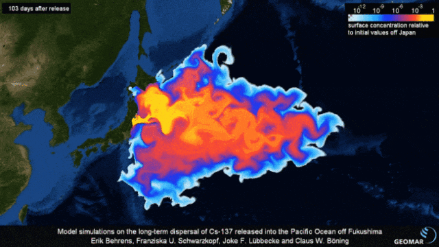 日本千吨死鱼涌向海岸，外媒怒骂核废水污染？日本人大破防竟现场捡鱼吃！（组图） - 22