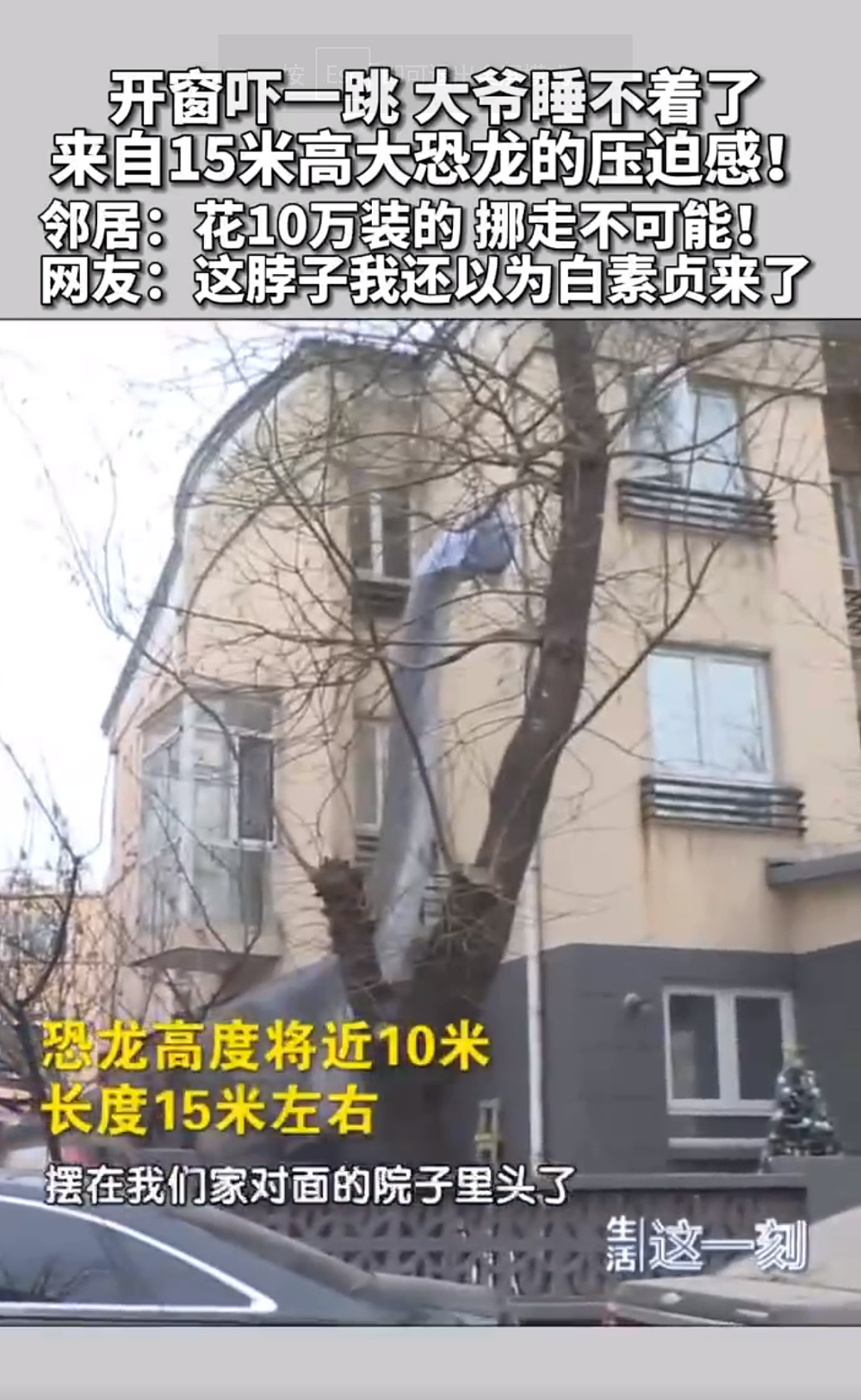 冲上热搜！北京一居民花10万买高15米大恐龙，网友：请把恐龙头对着自己家（组图） - 5