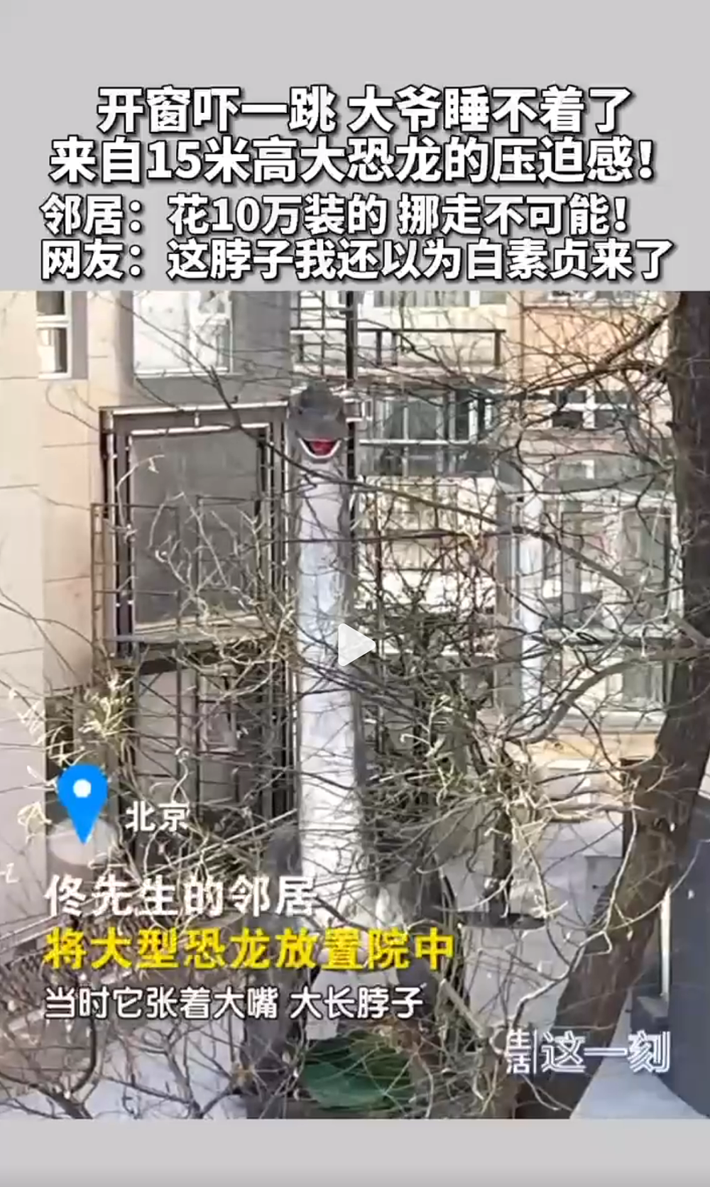 冲上热搜！北京一居民花10万买高15米大恐龙，网友：请把恐龙头对着自己家（组图） - 3
