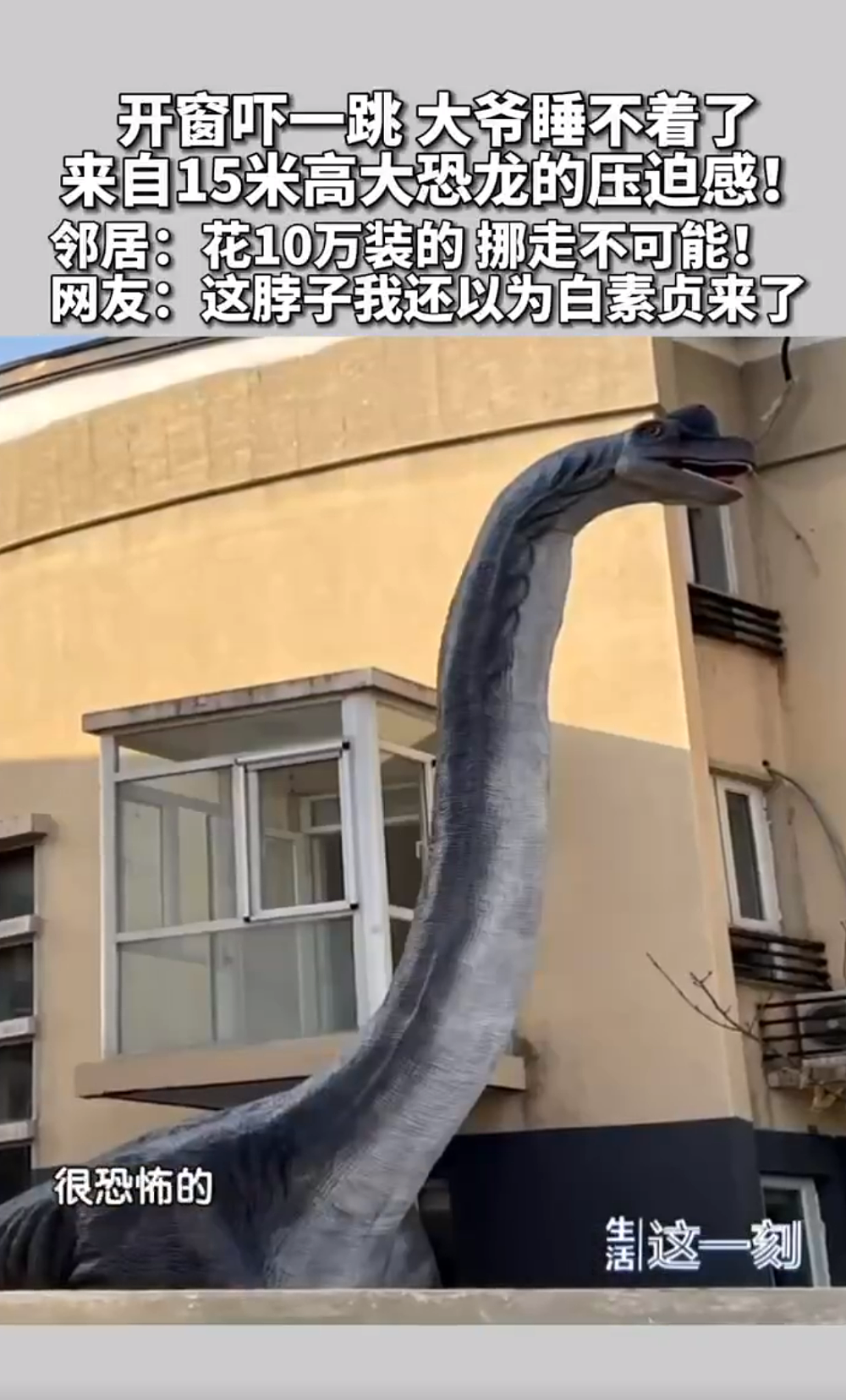 冲上热搜！北京一居民花10万买高15米大恐龙，网友：请把恐龙头对着自己家（组图） - 4