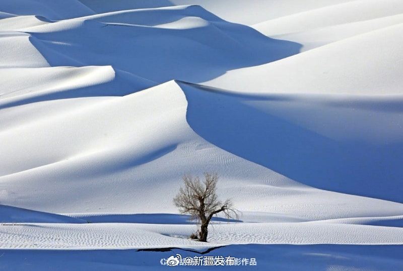 沙漠也会下雪！塔克拉玛干沙漠罕见成雪海（组图） - 2