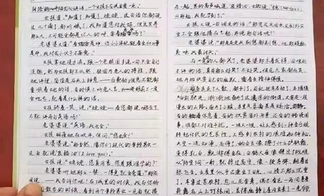 河南女孩高考中故意交白卷，用0分抗议高考制度，多年过后，如今她后悔了吗（组图） - 4