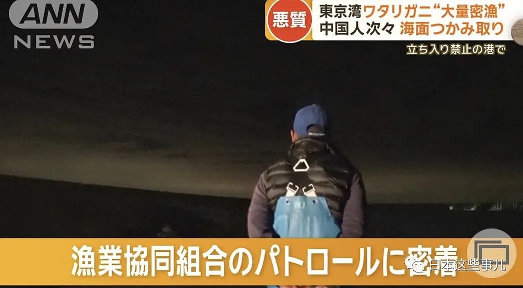 日媒：大量中国人在东京湾狂捞梭子蟹，当地渔民无奈：别来搅乱了！（组图） - 9