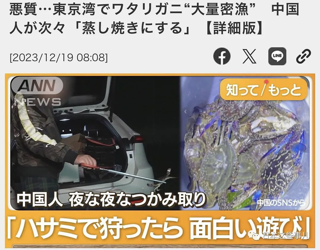 日媒：大量中国人在东京湾狂捞梭子蟹，当地渔民无奈：别来搅乱了！（组图） - 4
