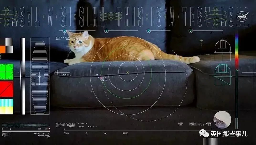 【宠物】NASA为测新技术，从太空下载回一个猫猫视频？喵星统治地球实锤+1（组图） - 4