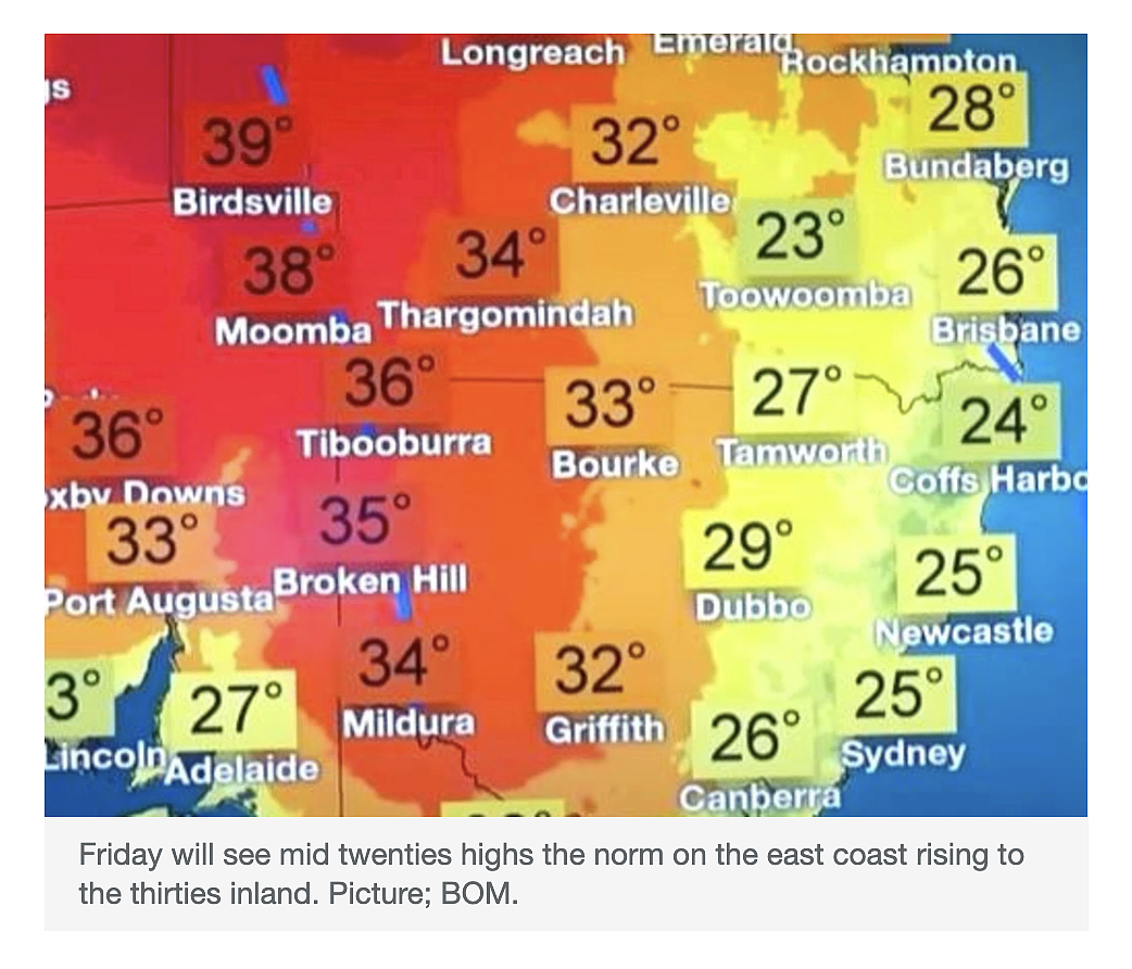 完蛋了！悉尼遭遇变态天气，圣诞节要泡汤啦！？狂风，暴雨，雾蒙蒙，还有81处山火同时爆发...（组图） - 8