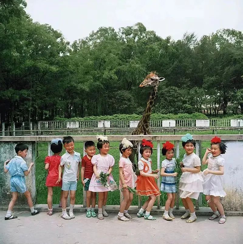 116张照片，再现40年前小学生精神状态：永远回不去的中国式童年（组图） - 23