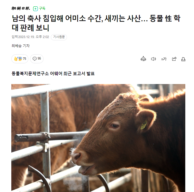 太变态了！韩国男子侵入他人兽舍强奸怀孕母牛、猥亵小牛…（组图） - 2
