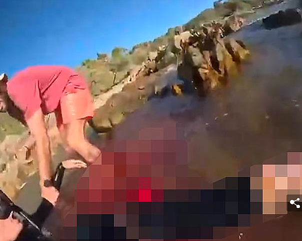 惊悚画面全被录！ 20岁帅小伙澳洲潜水被鲨鱼盯上，咬掉一条腿，血染大海（视频/组图） - 7