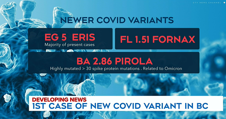 CDC警告新冠变种JN.1传播加快！新冠+流感+RSV+常规病毒袭击，澳专家：更容易感染肠道（组图） - 2