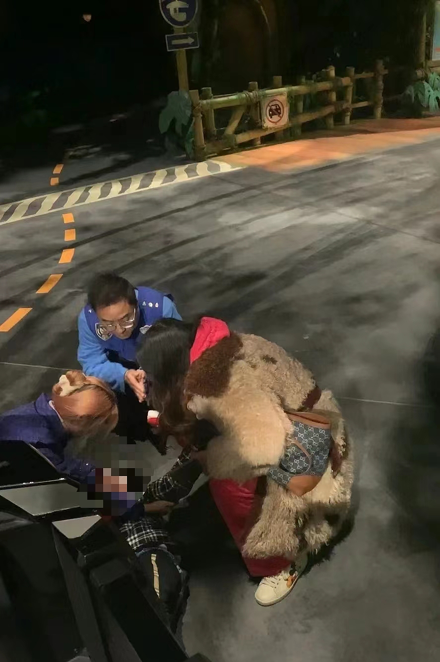 上海迪士尼一小孩为捡发箍中途跳车！导致动物城热力追踪停运，网友愤怒：家长为什么不拦着（组图） - 19