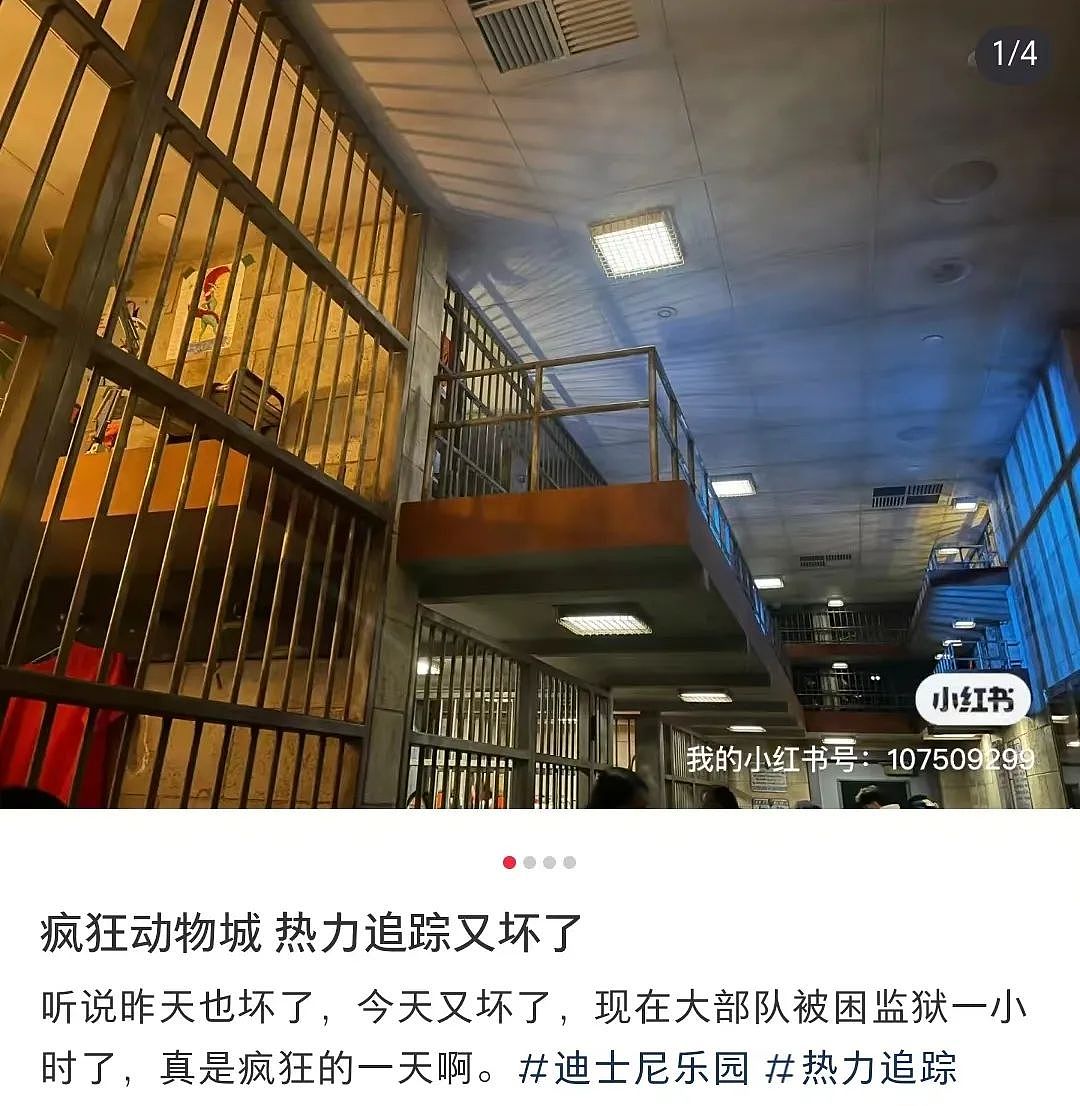 上海迪士尼一小孩为捡发箍中途跳车！导致动物城热力追踪停运，网友愤怒：家长为什么不拦着（组图） - 52