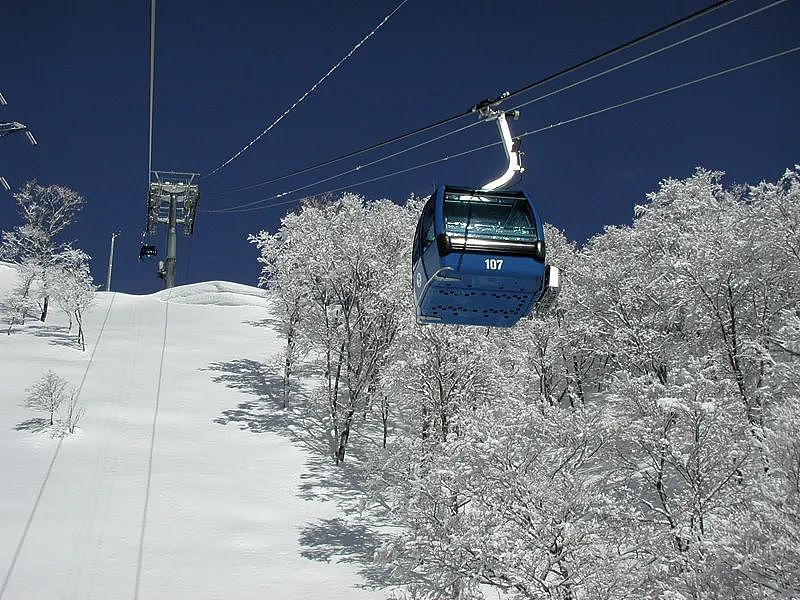 中国27岁女游客在日本滑雪场身亡：进入封闭高级雪道摔倒后，吸入粉雪窒息...（组图） - 34