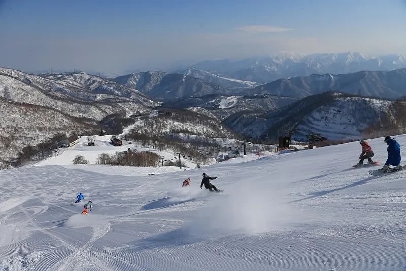中国27岁女游客在日本滑雪场身亡：进入封闭高级雪道摔倒后，吸入粉雪窒息...（组图） - 5