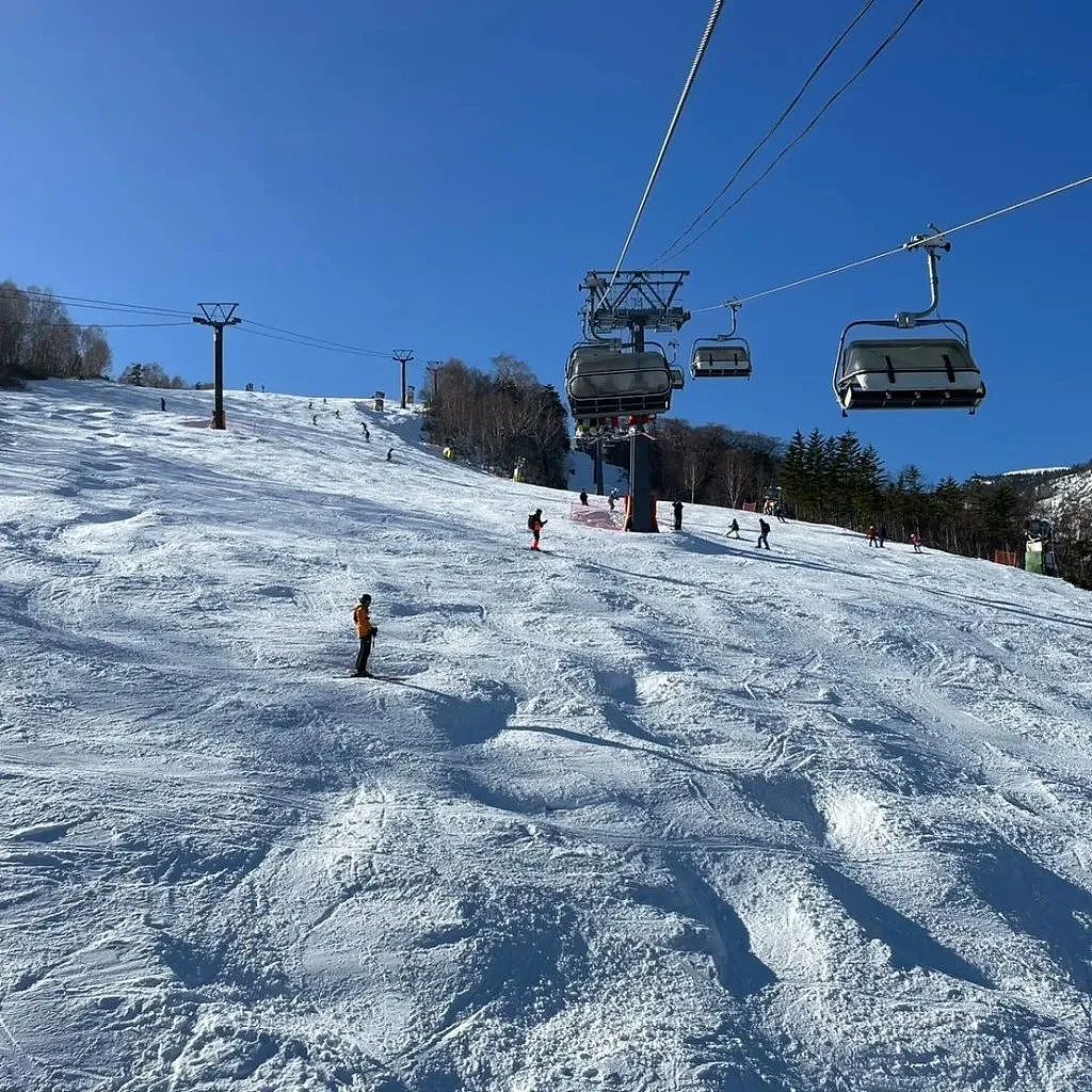 中国27岁女游客在日本滑雪场身亡：进入封闭高级雪道摔倒后，吸入粉雪窒息...（组图） - 31