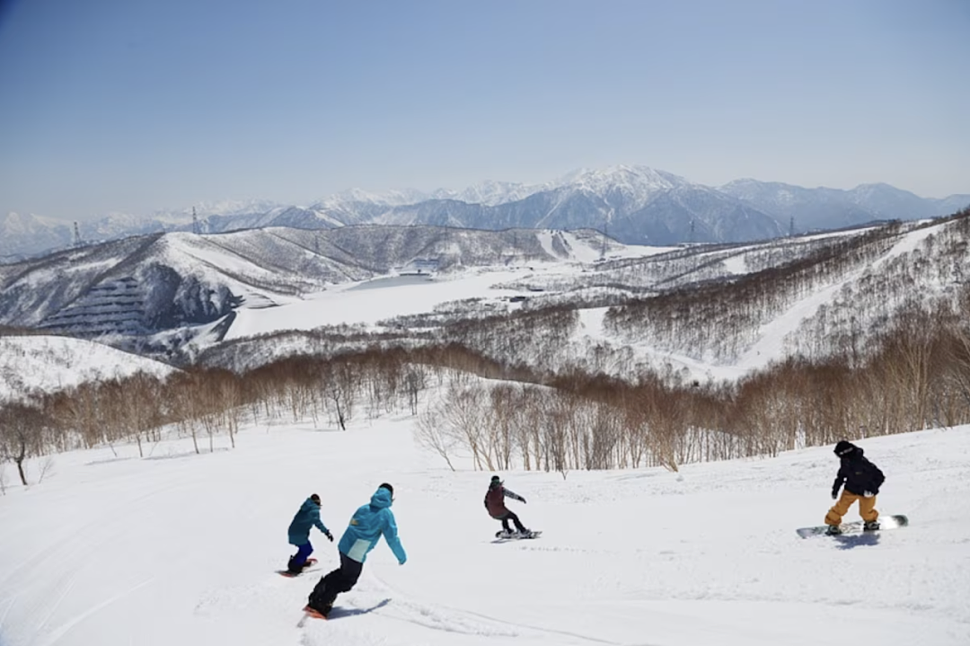中国27岁女游客在日本滑雪场身亡：进入封闭高级雪道摔倒后，吸入粉雪窒息...（组图） - 3