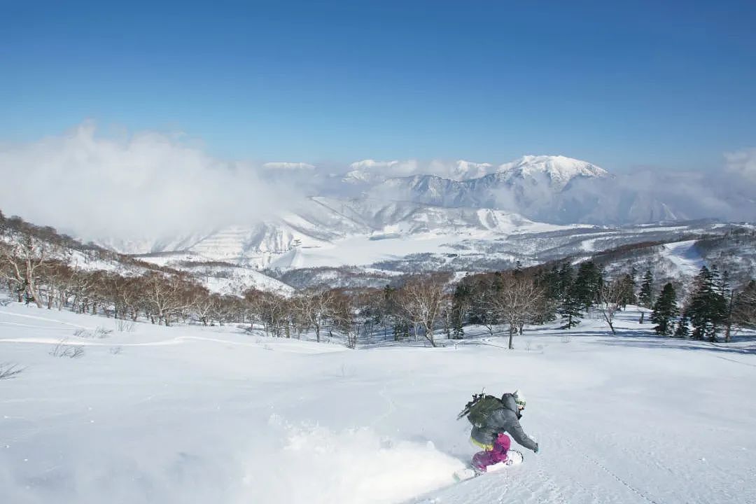 中国27岁女游客在日本滑雪场身亡：进入封闭高级雪道摔倒后，吸入粉雪窒息...（组图） - 10
