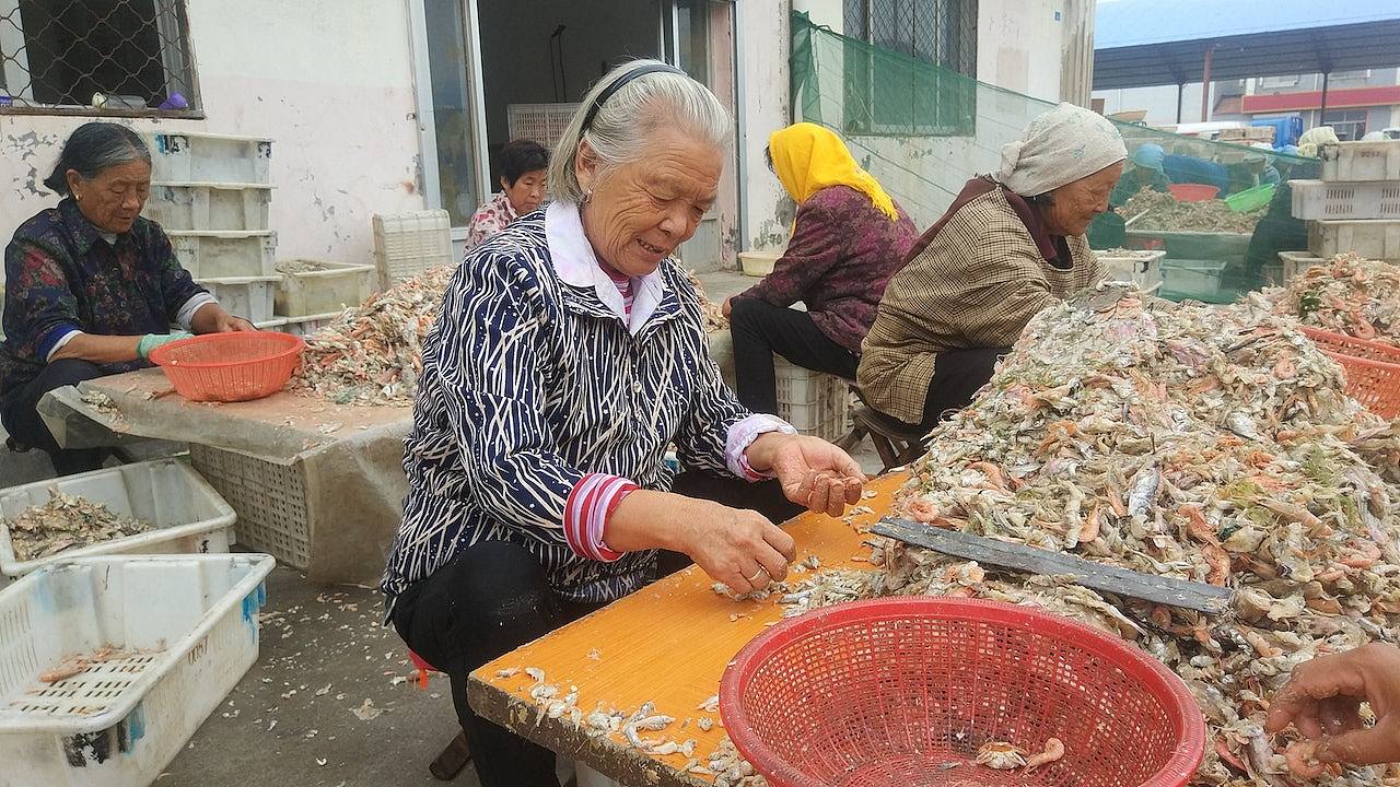 复旦专家称“中国退休年龄太早”惹议！网民炸锅：再说嘴巴撕烂（组图） - 1