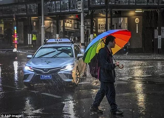 悉尼极端天气“三件套”登场：狂风，暴雨和冰雹！全澳超10人不幸遇难...（组图） - 3