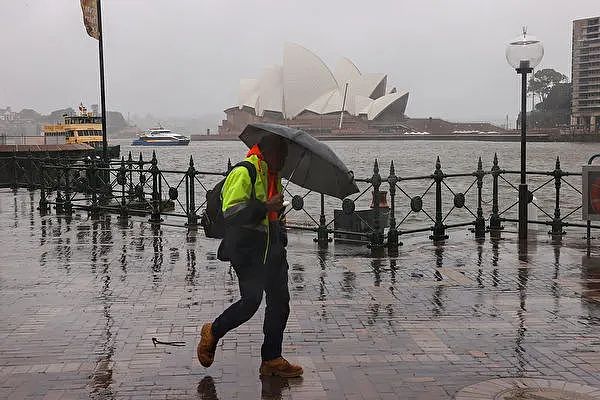 悉尼极端天气“三件套”登场：狂风，暴雨和冰雹！全澳超10人不幸遇难...（组图） - 12