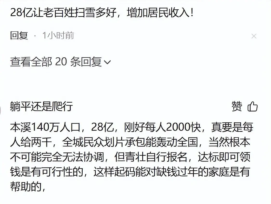 辽宁28亿外包扫雪后续：外包公司被扒，眼尖网友发现猫腻（组图） - 10