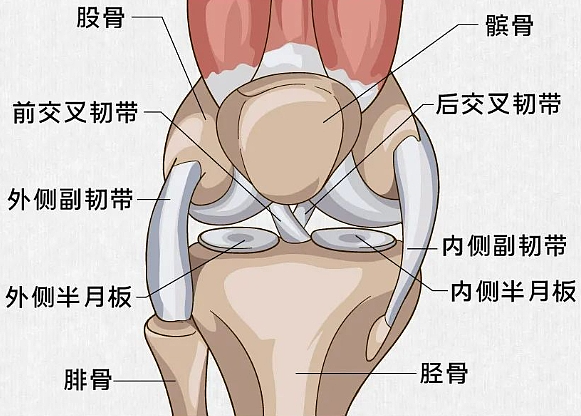 一到冬天“膝盖”就不舒服，5件事缓解不适（组图） - 3