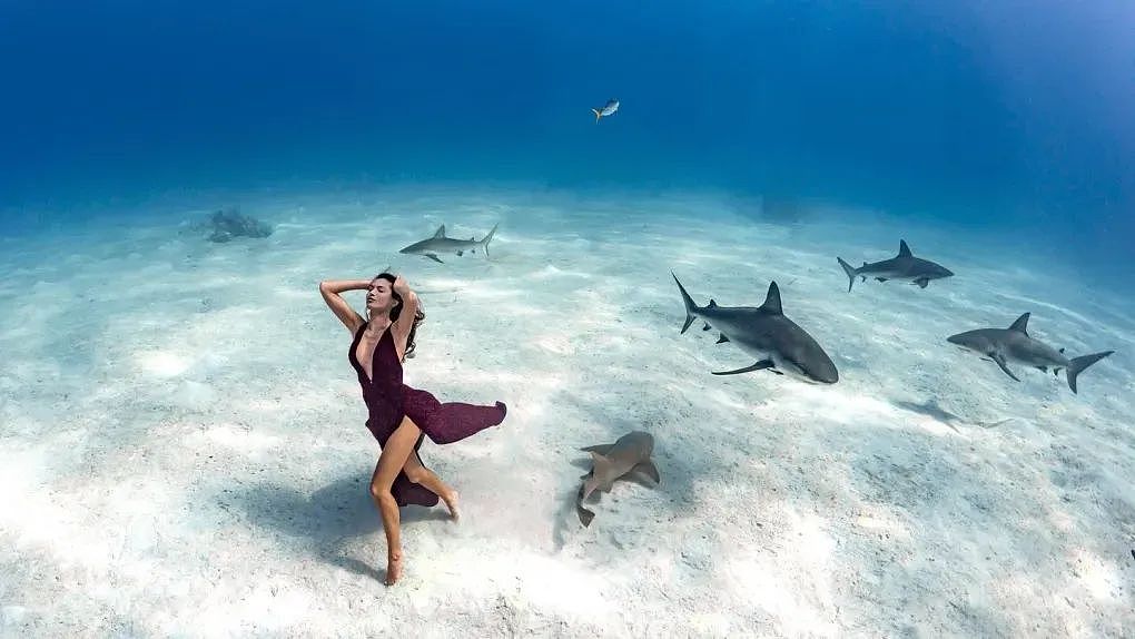 与鲸鲨共舞：美女创下深潜摄影吉尼斯世界纪录，美到令人窒息…（组图） - 5