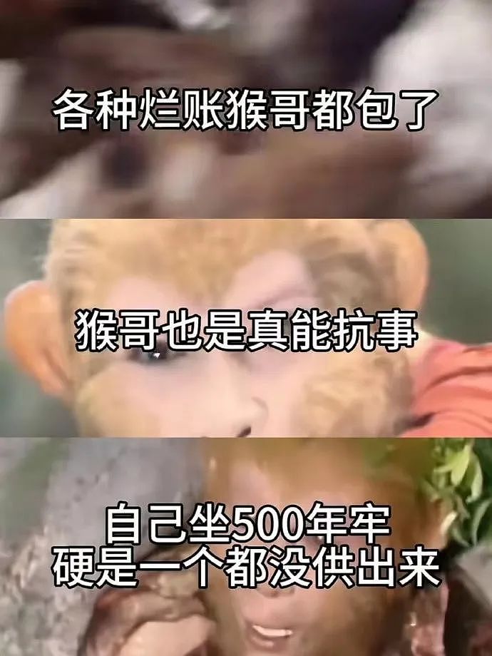 【爆笑】陈伟霆被曝与何穗复合？网友：什么！我还停留在安居拉北鼻...（视频/组图） - 52