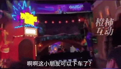 上海迪士尼小女孩跳车事件，背后藏着一个大问题（组图） - 5