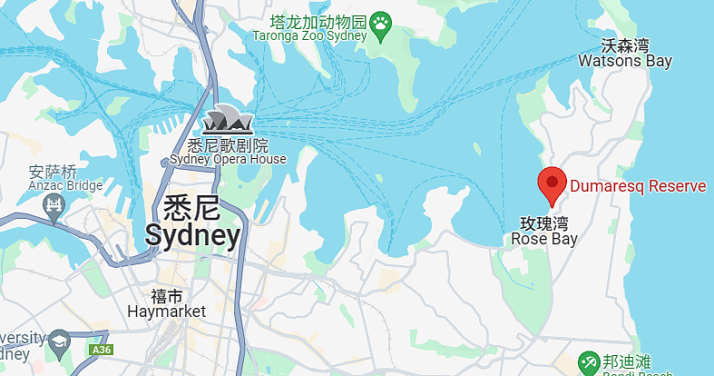 一眼万年！逃离悉尼人海，绝密观赏跨年烟火地点曝光（组图） - 32