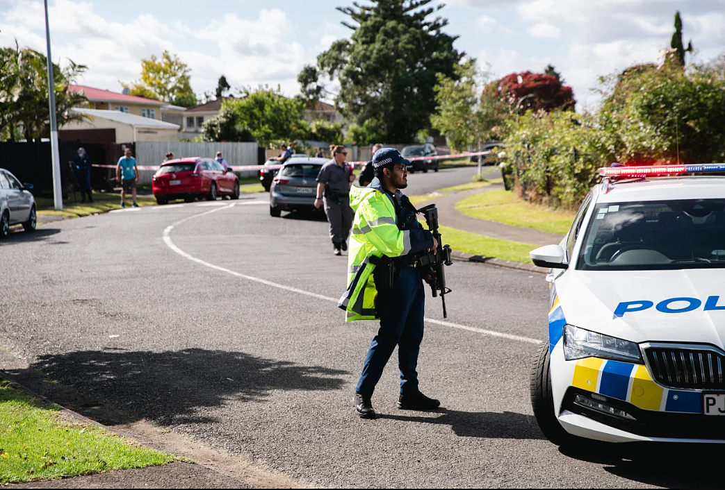 新年第一天！两名男子被发现在车内已无反应；高清多图赏新西兰烟花，跨年夜各地庆祝活动都伴随着潮湿，警方表示整体满意（组图） - 7