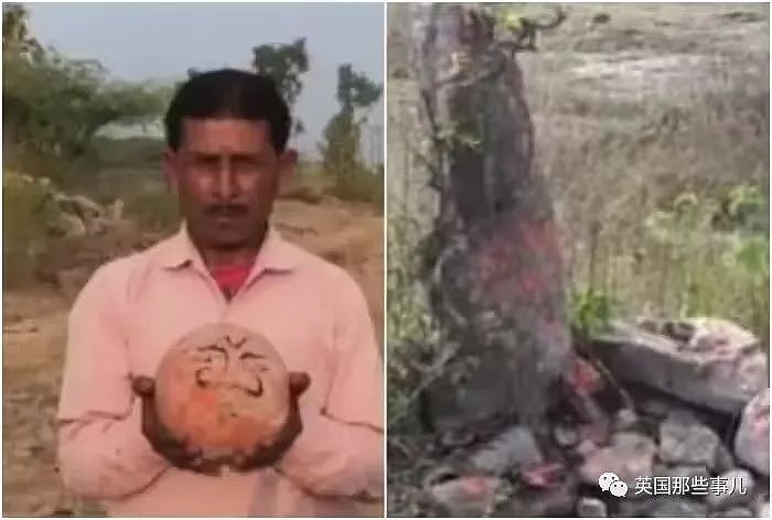 印度村民把“神秘石球”当神明世代献祭朝拜…最后发现竟是恐龙蛋（组图） - 2