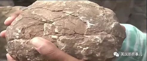 印度村民把“神秘石球”当神明世代献祭朝拜…最后发现竟是恐龙蛋（组图） - 1