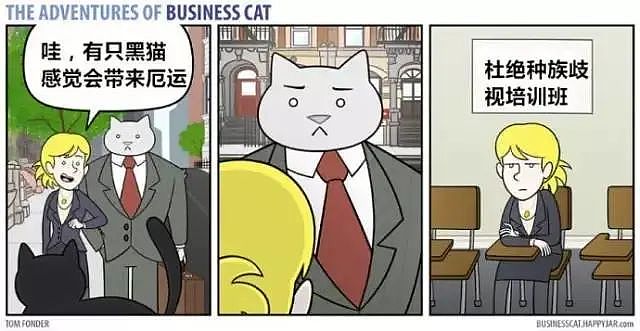 【宠物】奇葩公司为留住员工每人发一只猫，惹怒全网！是骗局，赶紧离职让我去！（组图） - 31