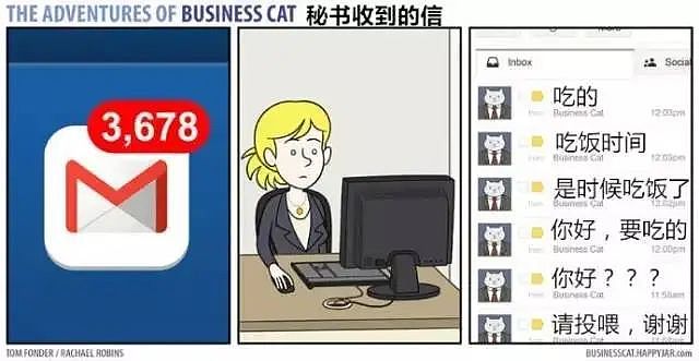 【宠物】奇葩公司为留住员工每人发一只猫，惹怒全网！是骗局，赶紧离职让我去！（组图） - 32
