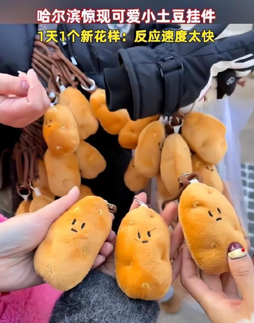 热搜第一！哈尔滨惊现“小土豆挂件”！网友：尔滨一天一个新花样，反应速度太快……（组图） - 1